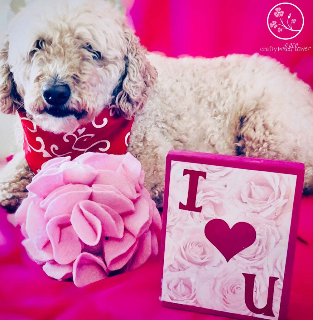 Happy Valentines Day From Logan and CraftyWildflower.com