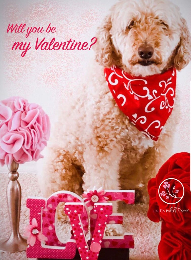 Happy Valentines Day From Logan and CraftyWildflower.com