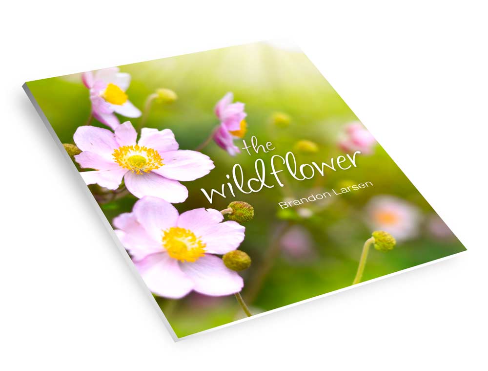 the wildflower book cover