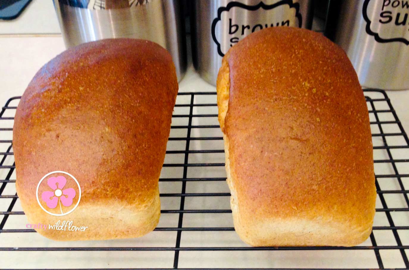 Delicious Wheat Bread Recipe - Wellness Wednesday
