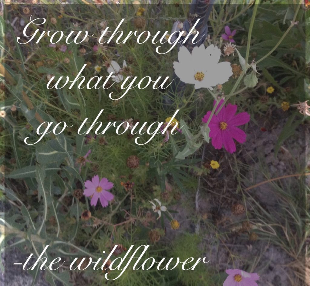 Our New Normal - Grow Through What You Go Through - CraftyWildflower.com