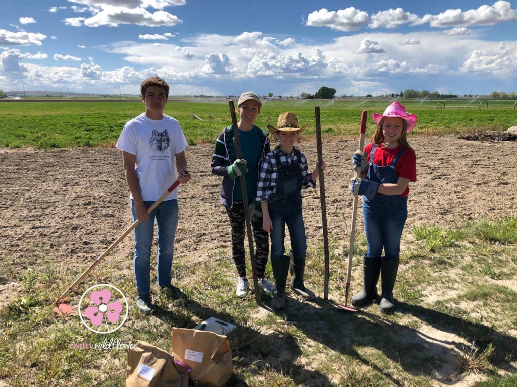 Family Friday – Planting our garden 2019