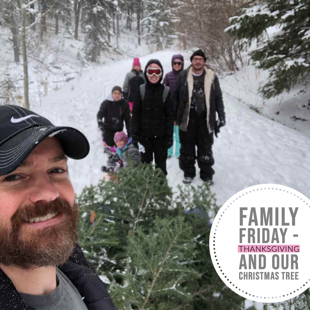 Family Friday - Thanksgiving and our Christmas Tree