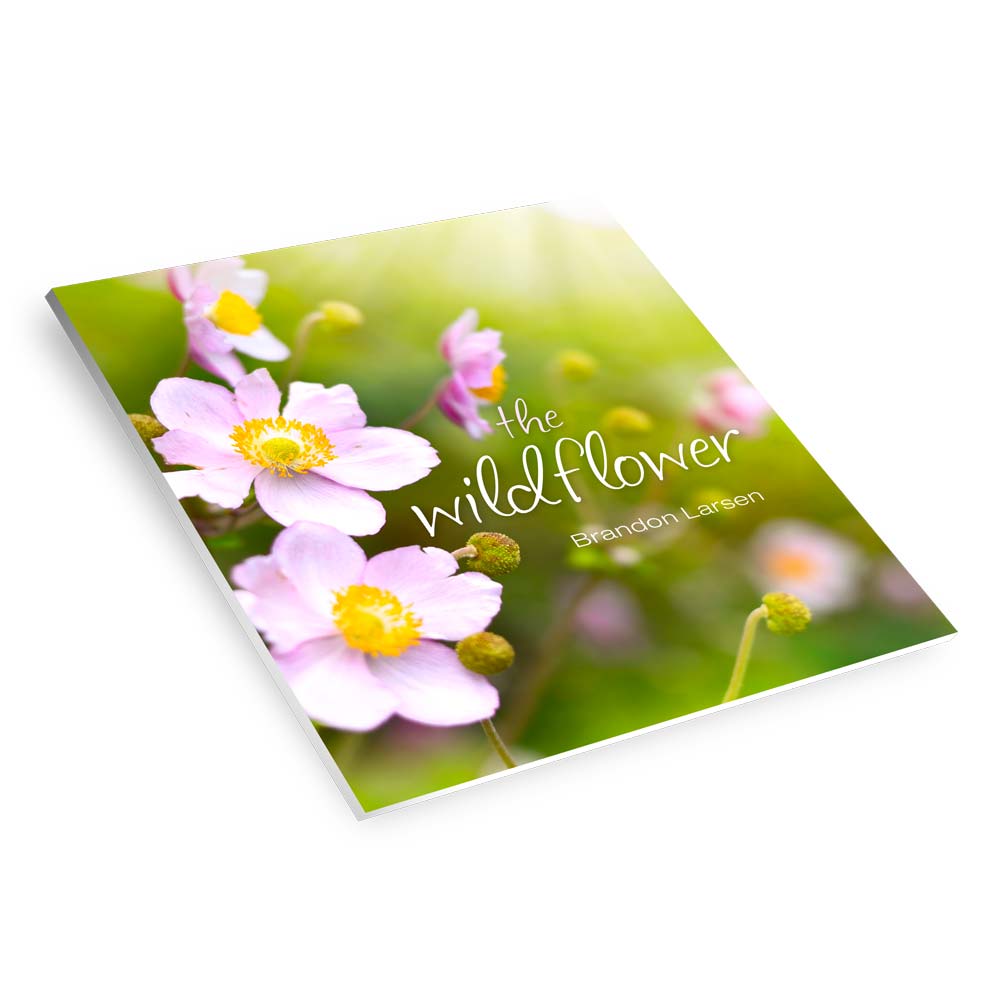 The Wildflower Book - Tell It All Tuesday - Becoming the Crafty Wildflower